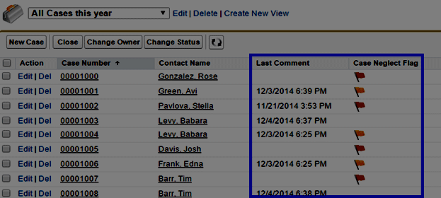 Salesforce Magic Tricks: Case & Report